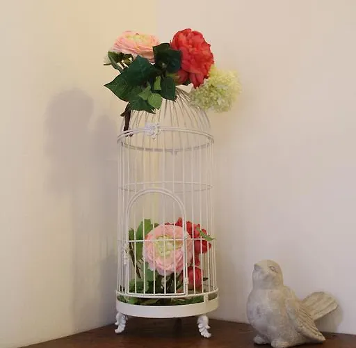 Snug Nest Como